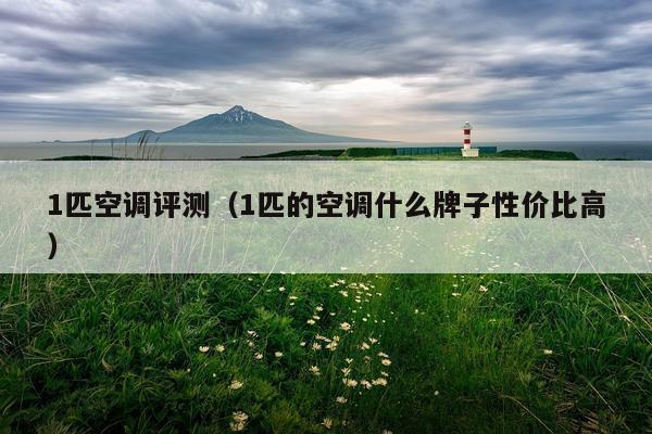 1匹空调评测（1匹的空调什么牌子性价比高）
