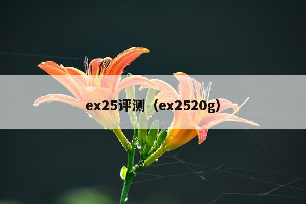 ex25评测（ex2520g）