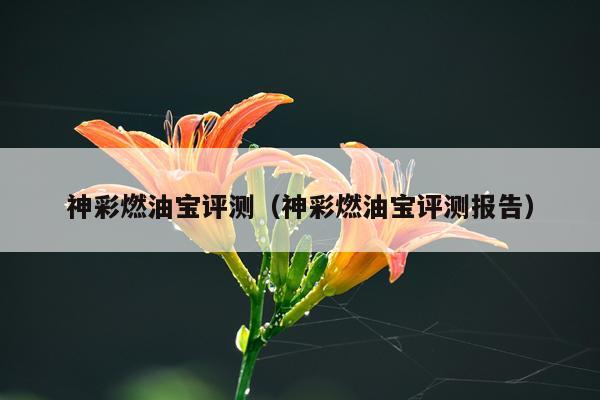 神彩燃油宝评测（神彩燃油宝评测报告）