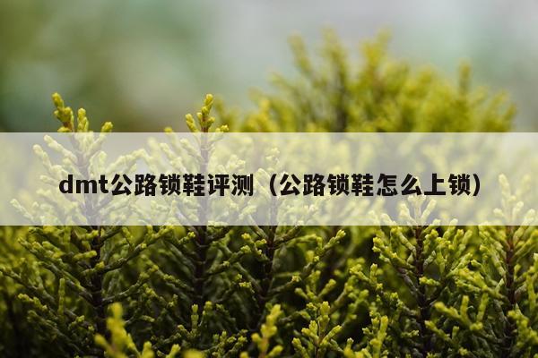 dmt公路锁鞋评测（公路锁鞋怎么上锁）