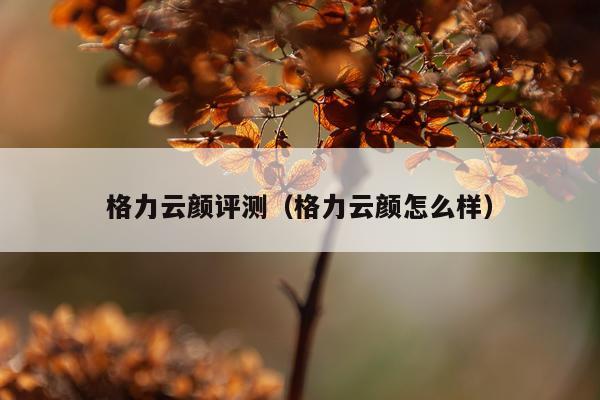 格力云颜评测（格力云颜怎么样）