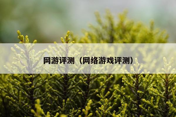 网游评测（网络游戏评测）