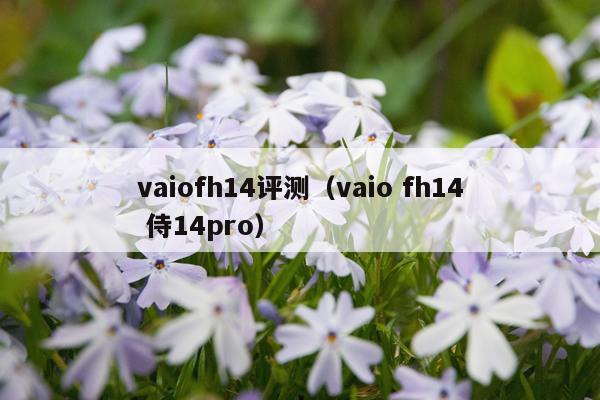 vaiofh14评测（vaio fh14 侍14pro）