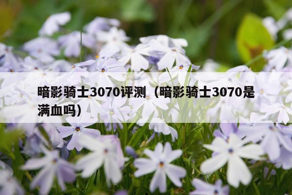 暗影骑士3070评测（暗影骑士3070是满血吗）