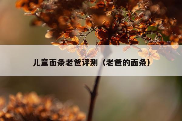 儿童面条老爸评测（老爸的面条）