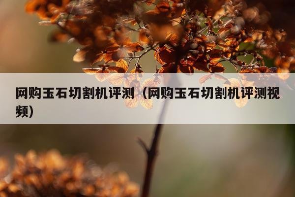 网购玉石切割机评测（网购玉石切割机评测视频）