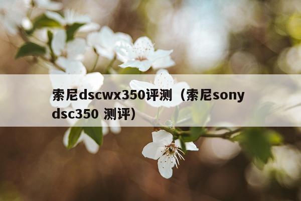 索尼dscwx350评测（索尼sony dsc350 测评）