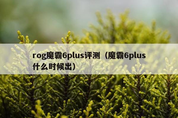 rog魔霸6plus评测（魔霸6plus什么时候出）