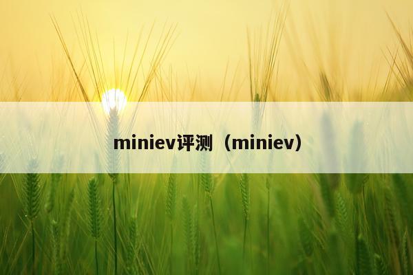 miniev评测（miniev）