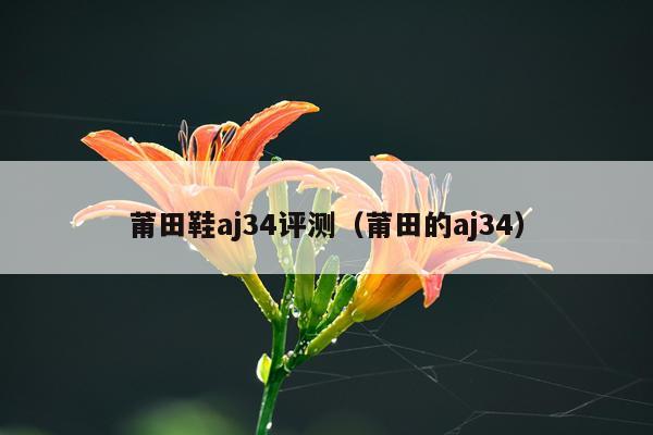 莆田鞋aj34评测（莆田的aj34）