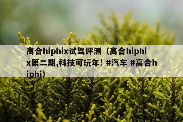 高合hiphix试驾评测（高合hiphix第二期,科技可玩年! #汽车 #高合hiphi）
