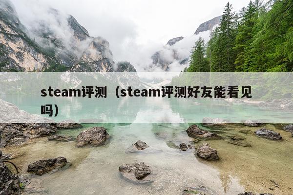 steam评测（steam评测好友能看见吗）