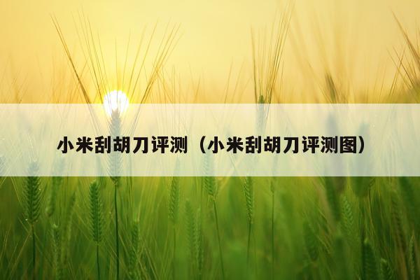小米刮胡刀评测（小米刮胡刀评测图）