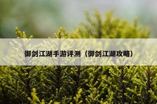 御剑江湖手游评测（御剑江湖攻略）