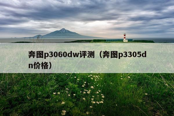 奔图p3060dw评测（奔图p3305dn价格）