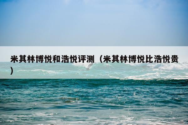 米其林博悦和浩悦评测（米其林博悦比浩悦贵）