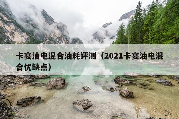 卡宴油电混合油耗评测（2021卡宴油电混合优缺点）
