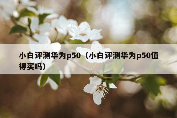 小白评测华为p50（小白评测华为p50值得买吗）