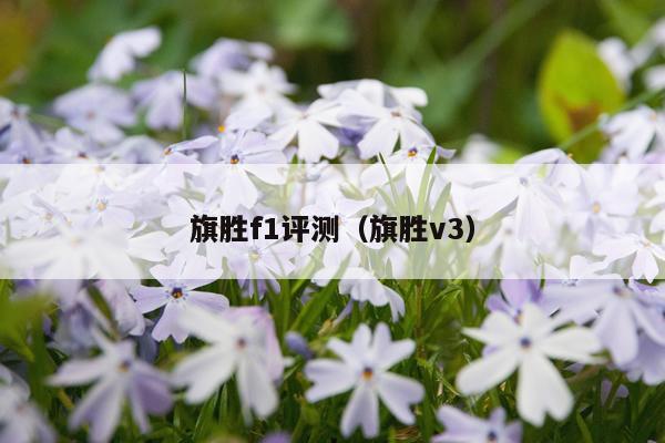 旗胜f1评测（旗胜v3）