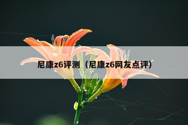 尼康z6评测（尼康z6网友点评）