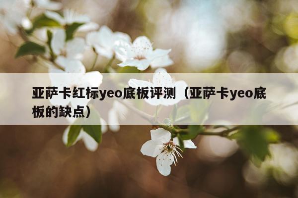 亚萨卡红标yeo底板评测（亚萨卡yeo底板的缺点）