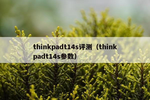 thinkpadt14s评测（thinkpadt14s参数）