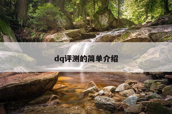 dq评测的简单介绍