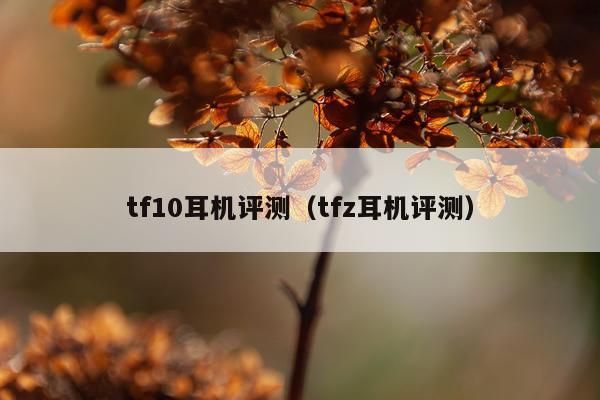 tf10耳机评测（tfz耳机评测）