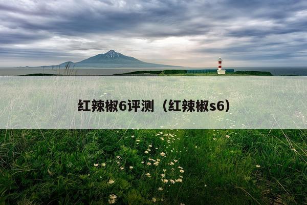 红辣椒6评测（红辣椒s6）