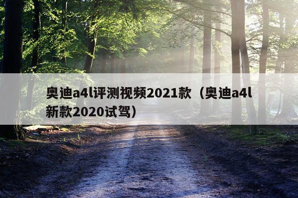 奥迪a4l评测视频2021款（奥迪a4l新款2020试驾）