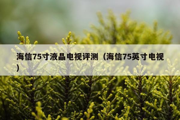 海信75寸液晶电视评测（海信75英寸电视）