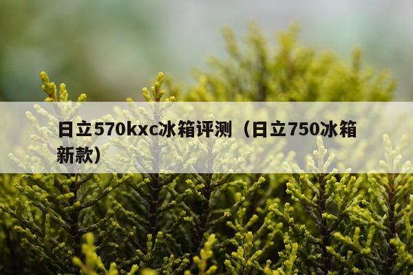 日立570kxc冰箱评测（日立750冰箱新款）