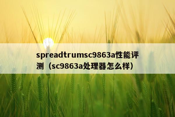 spreadtrumsc9863a性能评测（sc9863a处理器怎么样）