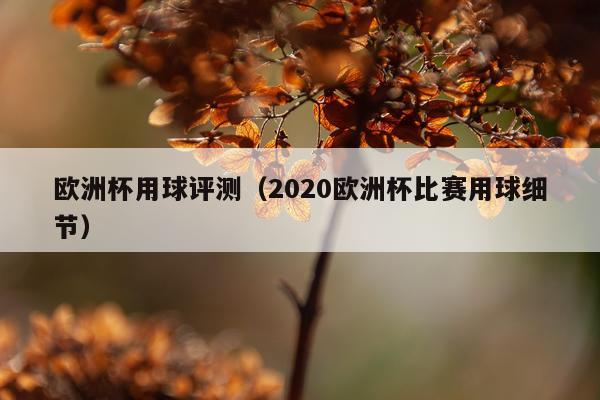 欧洲杯用球评测（2020欧洲杯比赛用球细节）