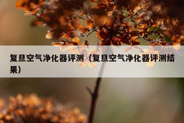 复旦空气净化器评测（复旦空气净化器评测结果）