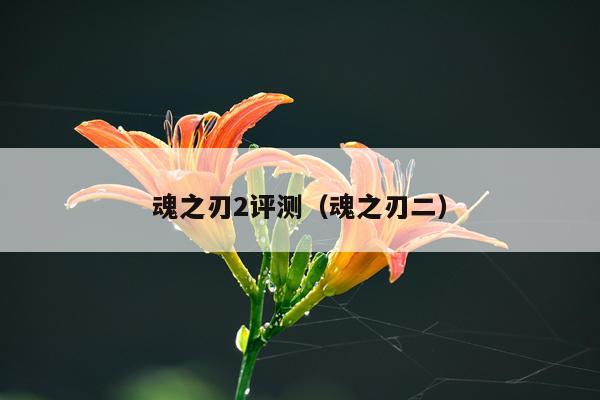 魂之刃2评测（魂之刃二）