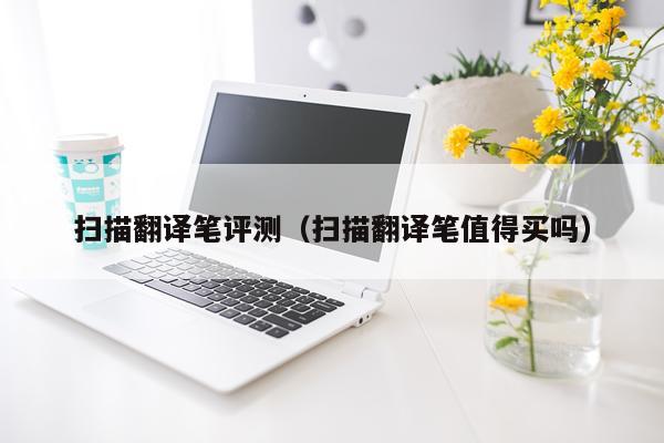 扫描翻译笔评测（扫描翻译笔值得买吗）
