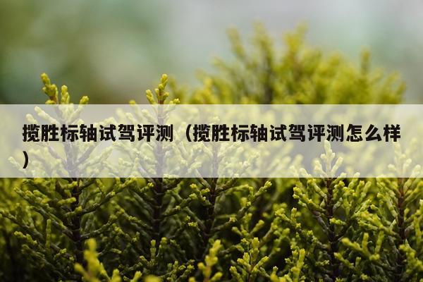 揽胜标轴试驾评测（揽胜标轴试驾评测怎么样）