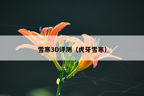 雪寒3D评测（虎牙雪寒）