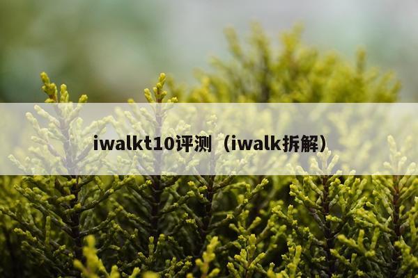 iwalkt10评测（iwalk拆解）