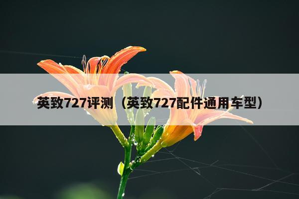 英致727评测（英致727配件通用车型）