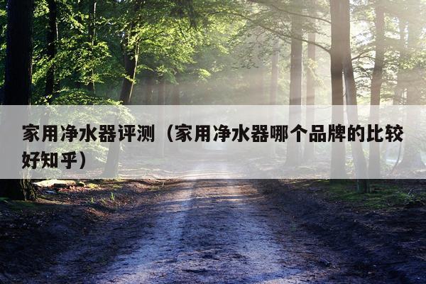 家用净水器评测（家用净水器哪个品牌的比较好知乎）