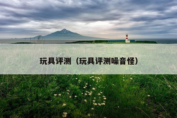玩具评测（玩具评测噪音怪）
