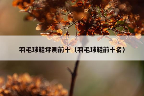 羽毛球鞋评测前十（羽毛球鞋前十名）