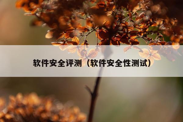 软件安全评测（软件安全性测试）