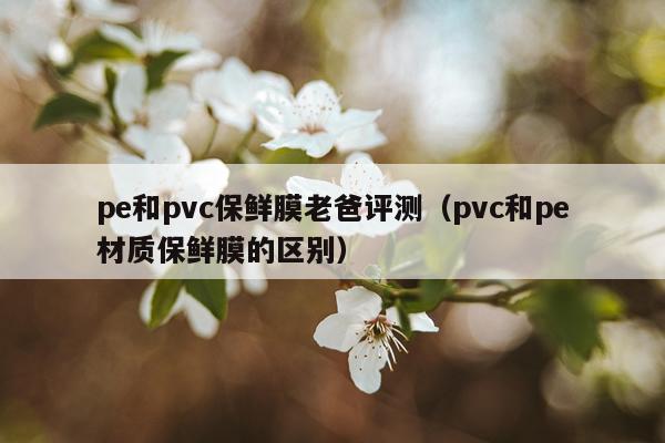 pe和pvc保鲜膜老爸评测（pvc和pe材质保鲜膜的区别）