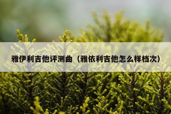 雅伊利吉他评测曲（雅依利吉他怎么样档次）