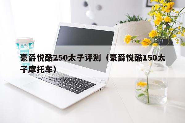 豪爵悦酷250太子评测（豪爵悦酷150太子摩托车）