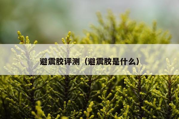 避震胶评测（避震胶是什么）
