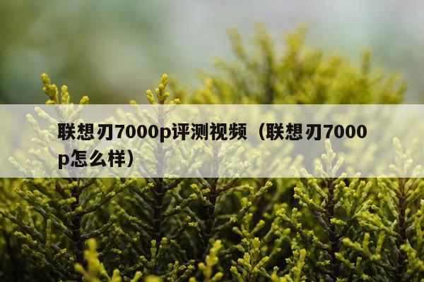 联想刃7000p评测视频（联想刃7000p怎么样）